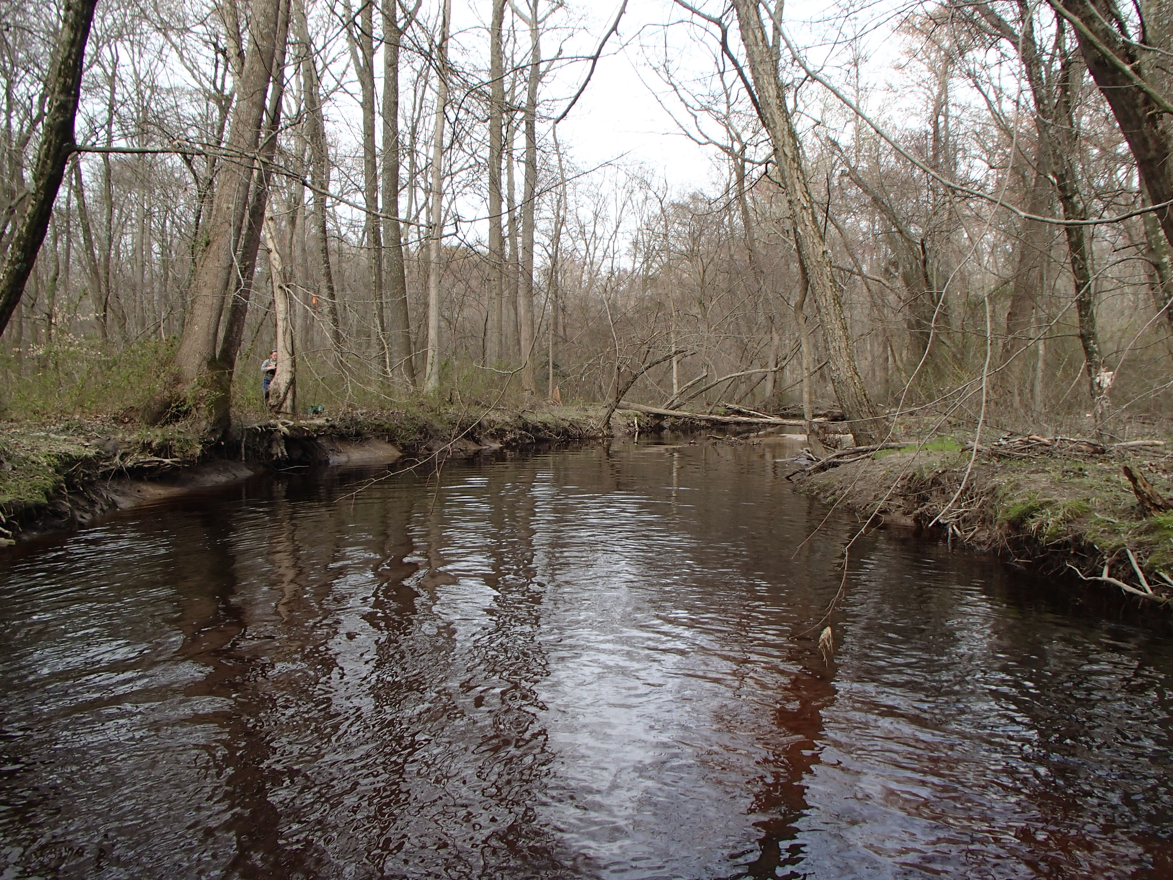 Field photo showing stream conditions at site UPCR-208-S-2016_Midpoint looking upstream
